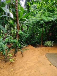 Village Vista - 1