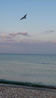 Hotel Elion - 4