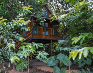 Hostal Caño Nevera - 9