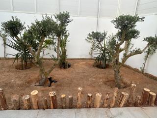Villa blanca - 6