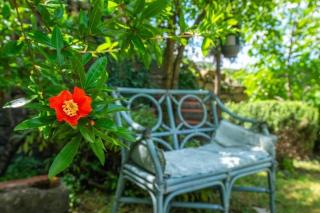 Apartments with parking space Momjan, Central Istria - Sredisnja Istra - 27258 - 7