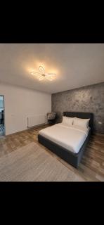 Apartament Timisoara 3 - 3