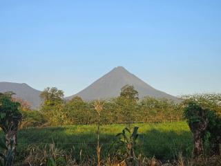 Divina Naturaleza - 0