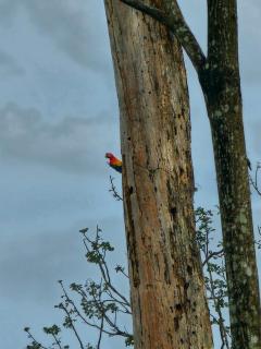 Divina Naturaleza - 1