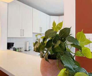 Downtown Double King Apt Walkable Everything - 5