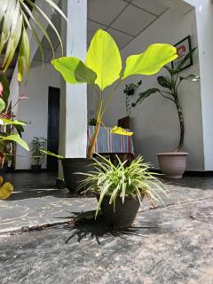 D Mount Villa - 3