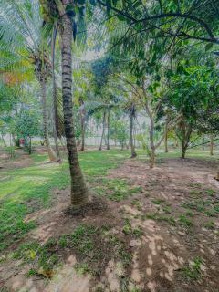 Mango breeze villa - 6