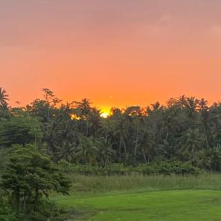 Paddy Shine Villa - 9