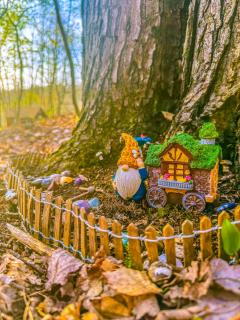 Fern Hill Retreat - Glamping Experience & Swimming Pond! - 9