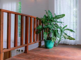 GreenHide -Weligama - 2