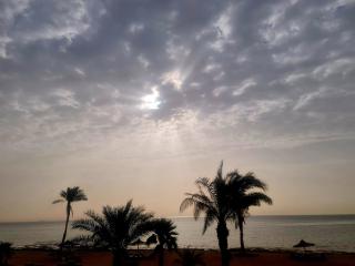 Beachfront First Row, Gather by the Red Sea - 8