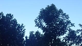 The Blue Crest Green Haven Lodges - 4