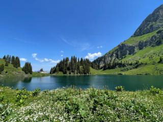 Alpine Dream Chalet with Spa close to Lake Geneva - 1