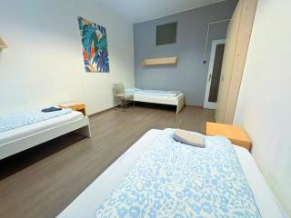 Apartmans and ROOMS with PARKING Turgenevova - Olomoucka - 1