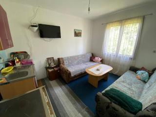 Seosko domaćinstvo Velidje - 9