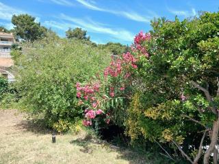 Private pool and garden - 6