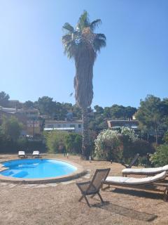 Private pool and garden - 0