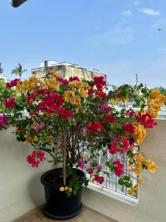 Manasa's Retreat - Spacious Master Bedroom Near Chennai International Airport - 3
