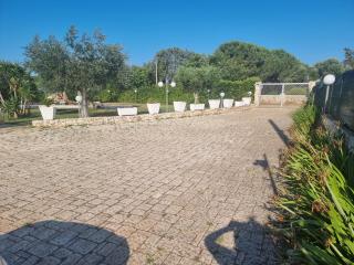 Rosmat's house - 8