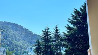 Premium 2BHK near Kainchi Dham - 1