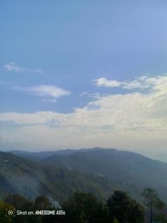 The Binsar Valley Cafe & Home Stay - 9