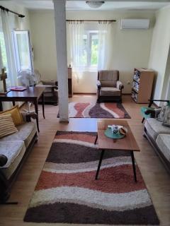 Radovici Family House - 1