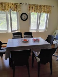 Radovici Family House - 5