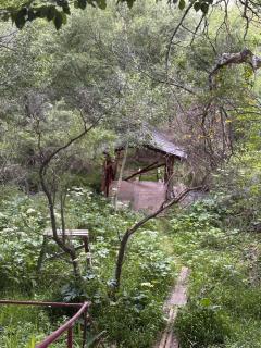 Amanat Yurt Camp Kolsay - 1
