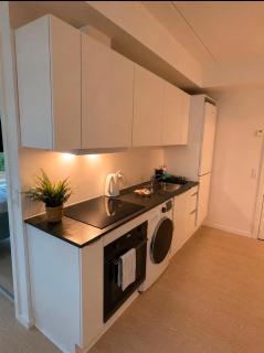 Scandinavian apartment- Balcony- Free parking - 5