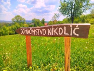 Domaćinstvo Nikolić-Milicevo Selo - 2