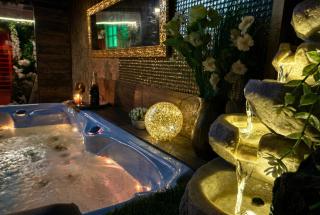Sofia Private Wellness Apartman Prague - Sauna & Jacuzzi - Prag - 5