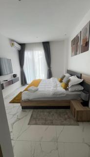 Luxurious One bedroom apartment in Cantonments - 233 BOULEVARD - 0