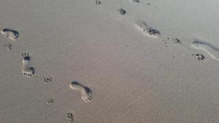 Arrifana Beach- T2 Sun & Surf Flat - 6