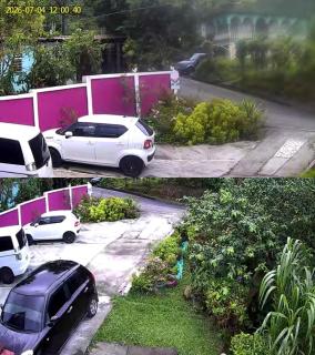 Anthurium Apartment - 8