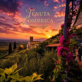 Tenuta Lombrica - 9