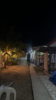 Seaside palms - 0