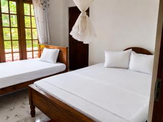 Silver Tips Villa - 1
