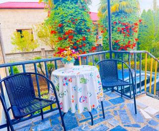 Guest House Lali -Zugdidi - 3