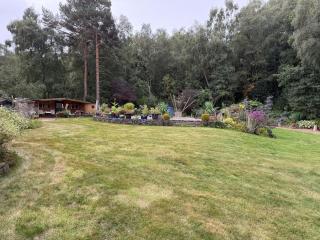 Lodge, Tranquil woodland setting - 7