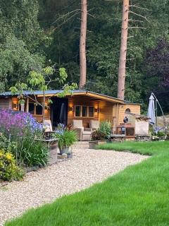 Lodge, Tranquil woodland setting - 5