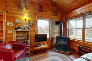 Cozy cabin in spectacular lakefront location with great views - dog-friendly - 2