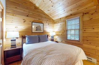 Relaxing two-bedroom dog-friendly cabin with fireplace, AC, hiking & fun - 1