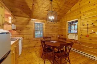 Relaxing two-bedroom dog-friendly cabin with fireplace, AC, hiking & fun - 6