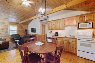 Dog-friendly cabin with firepit, kitchen, AC, & trails for your next escape - 2