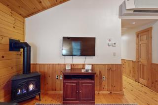 Dog-friendly cabin with firepit, kitchen, AC, & trails for your next escape - 5