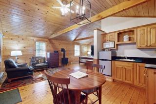 Quaint studio cabin near hiking trails with gym & pool table - dog-friendly - 1