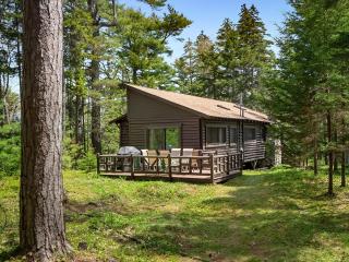 Cozy home with serene views, wood-burning fireplace & wifi - 8