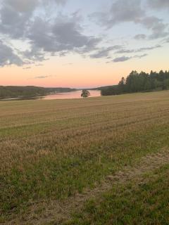 Newly renovated house on a farm with a view to the sea! - 8