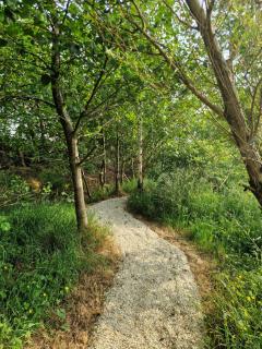 Shandan House - 1
