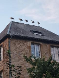 Gîte de la Courtine - 3